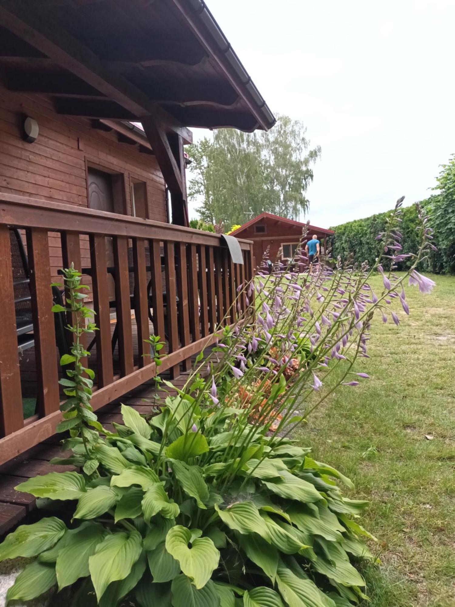 Zacisze Domki Letniskowe Karsibor Świnoujście Esterno foto
