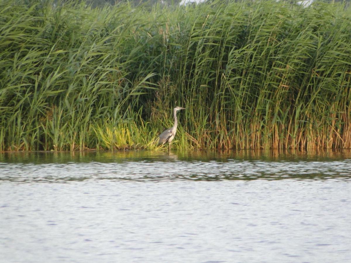 Zacisze Domki Letniskowe Karsibor Świnoujście Esterno foto
