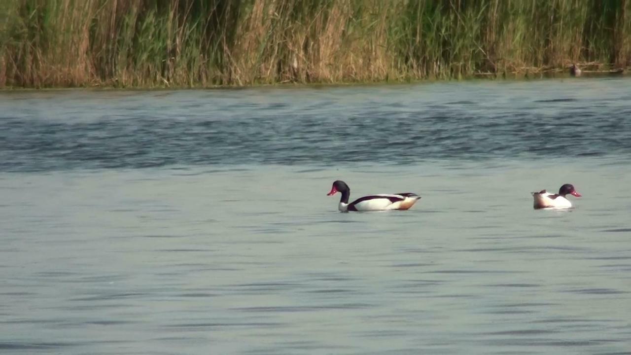 Zacisze Domki Letniskowe Karsibor Świnoujście Esterno foto