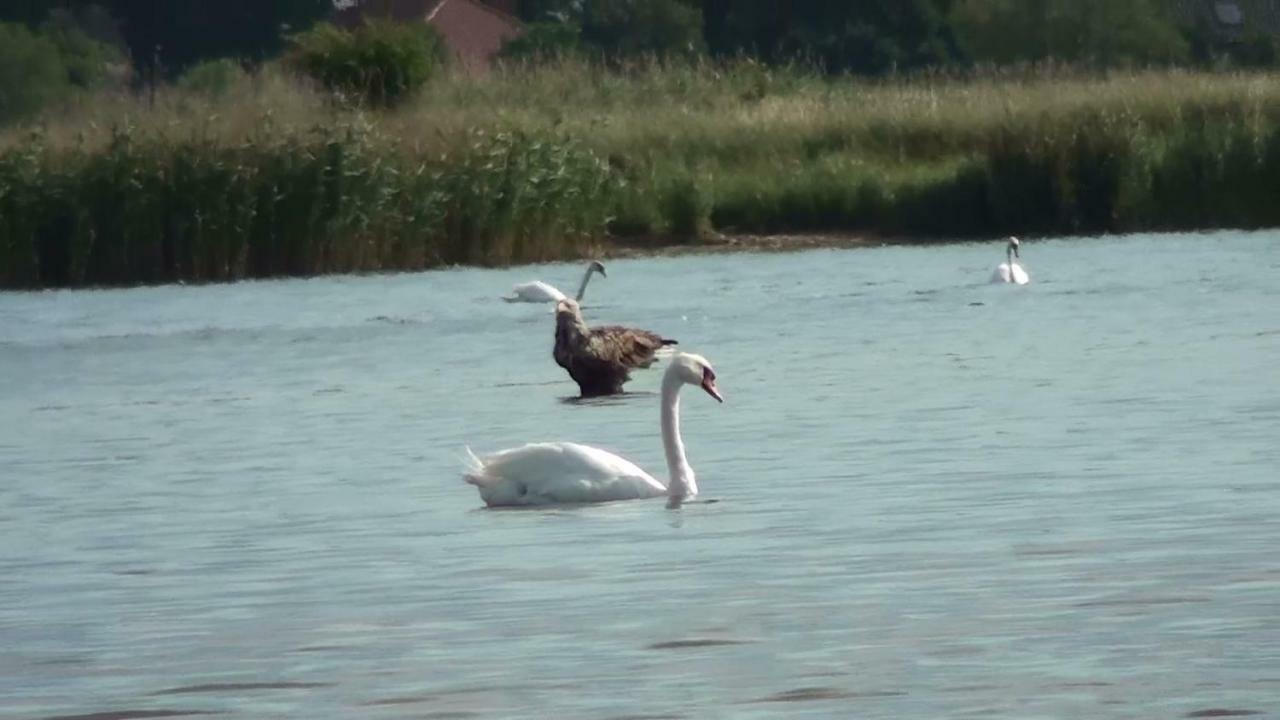 Zacisze Domki Letniskowe Karsibor Świnoujście Esterno foto