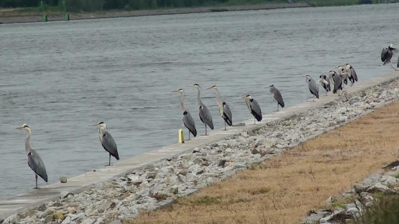 Zacisze Domki Letniskowe Karsibor Świnoujście Esterno foto